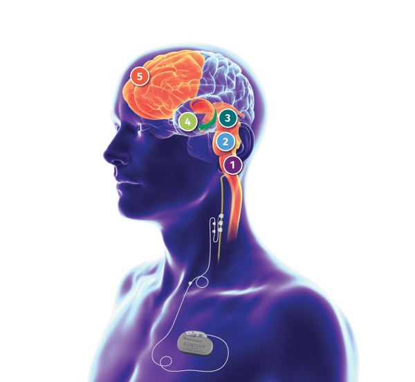 Blueman_Highlights_Numbered